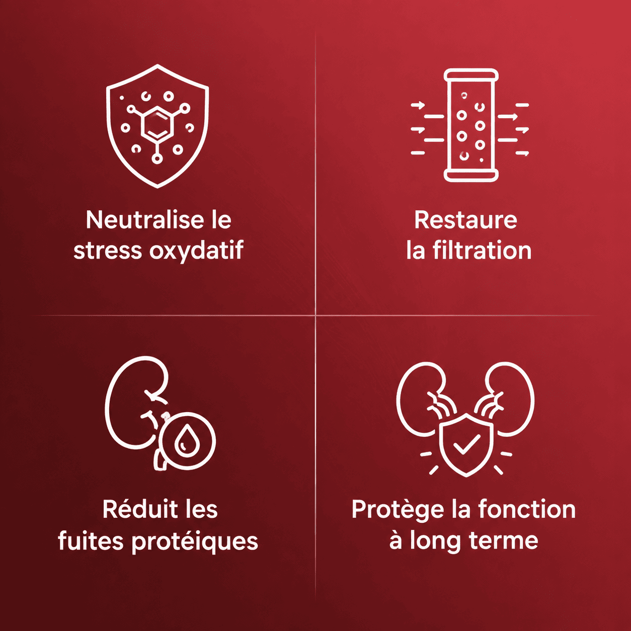 Tenovia - Gélules d'Extrait de Grenade Bio